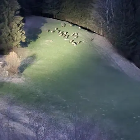 Rabensteiner Appartement