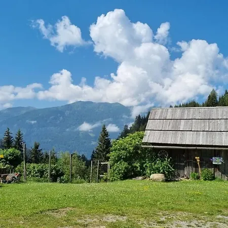 Rabensteiner - Panorama - Lägenhet Bad Kleinkirchheim