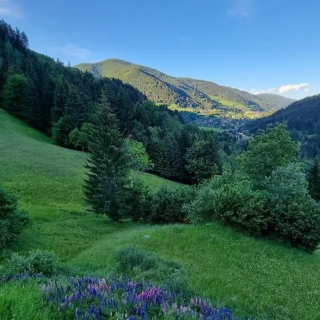 Lägenhet Rabensteiner - Panorama -