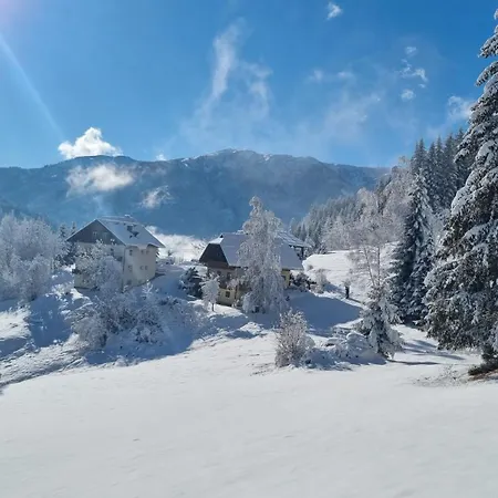 Rabensteiner - Panorama - Lägenhet *