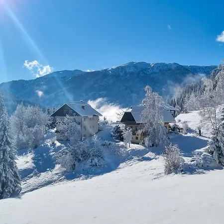Lägenhet Rabensteiner - Panorama - *